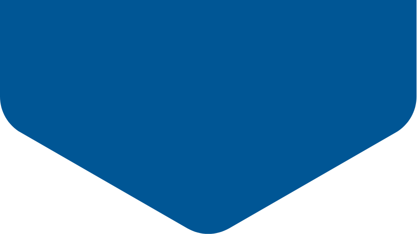 zeshoek MICE support huisstijl blauw half