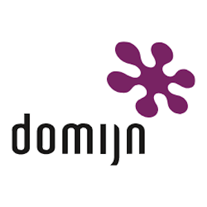 Domijn logo-domijn-300